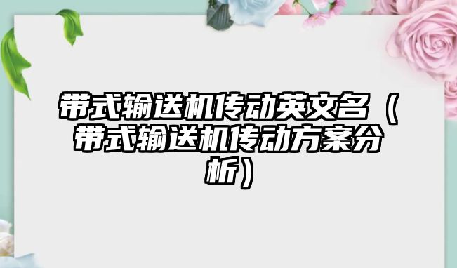 帶式輸送機傳動英文名（帶式輸送機傳動方案分析）