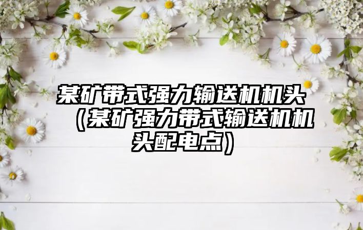 某礦帶式強力輸送機機頭（某礦強力帶式輸送機機頭配電點）