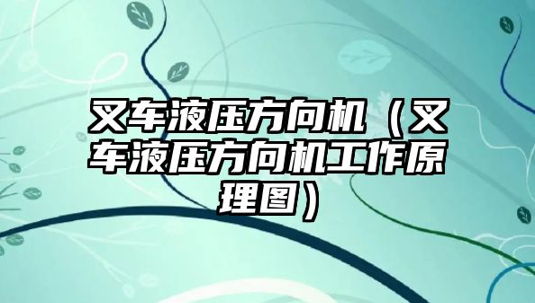 叉車液壓方向機（叉車液壓方向機工作原理圖）