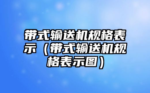 帶式輸送機規(guī)格表示（帶式輸送機規(guī)格表示圖）