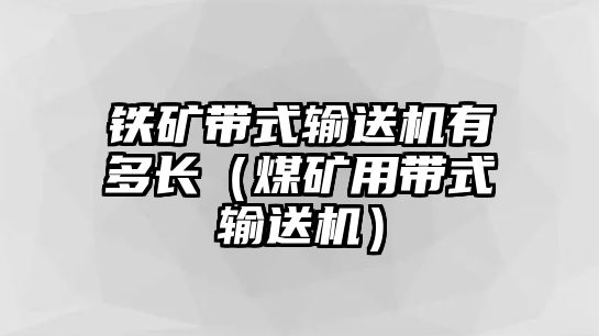 鐵礦帶式輸送機(jī)有多長(zhǎng)（煤礦用帶式輸送機(jī)）