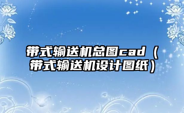 帶式輸送機總圖cad（帶式輸送機設計圖紙）