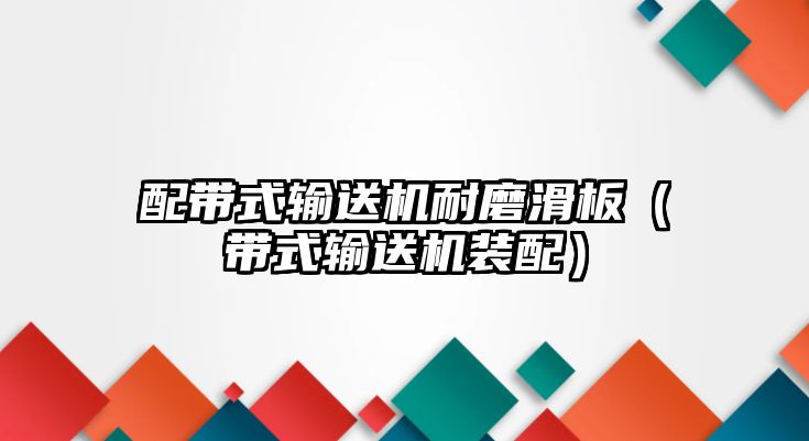 配帶式輸送機耐磨滑板（帶式輸送機裝配）