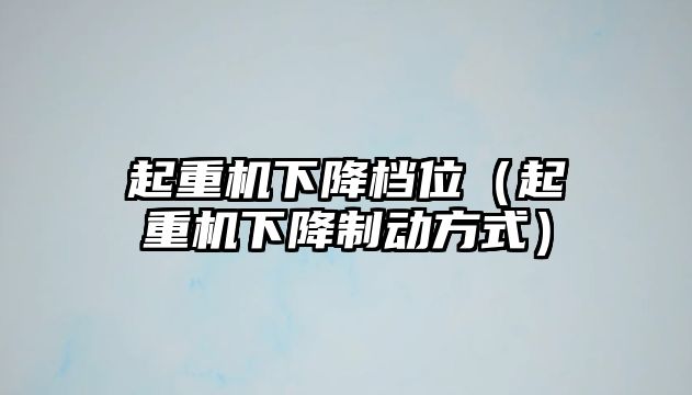 起重機下降檔位（起重機下降制動方式）