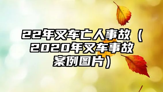 22年叉車亡人事故（2020年叉車事故案例圖片）