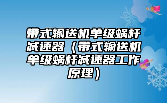 帶式輸送機(jī)單級(jí)蝸桿減速器（帶式輸送機(jī)單級(jí)蝸桿減速器工作原理）