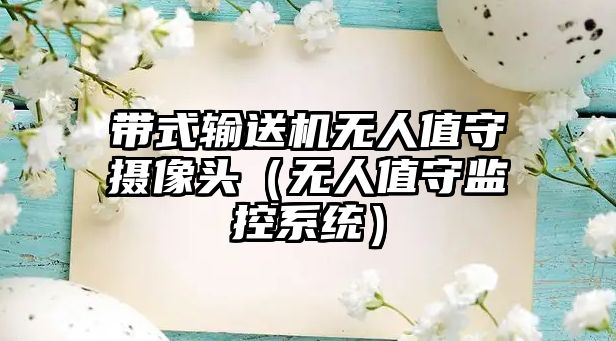 帶式輸送機無人值守攝像頭（無人值守監(jiān)控系統(tǒng)）