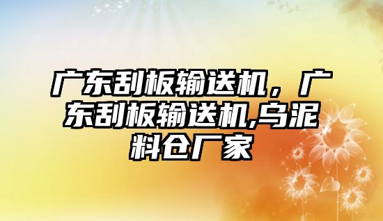 廣東刮板輸送機，廣東刮板輸送機,烏泥料倉廠家