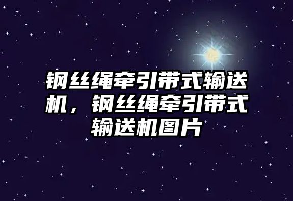 鋼絲繩牽引帶式輸送機，鋼絲繩牽引帶式輸送機圖片