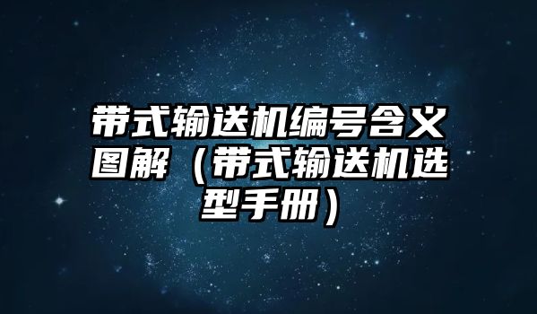 帶式輸送機編號含義圖解（帶式輸送機選型手冊）