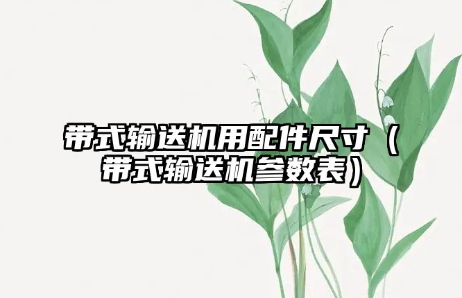 帶式輸送機用配件尺寸（帶式輸送機參數(shù)表）