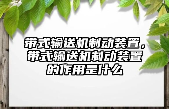 帶式輸送機(jī)制動(dòng)裝置，帶式輸送機(jī)制動(dòng)裝置的作用是什么