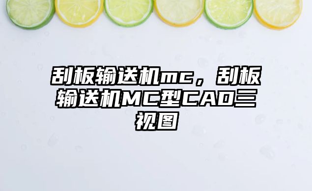 刮板輸送機(jī)mc，刮板輸送機(jī)MC型CAD三視圖