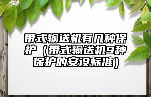 帶式輸送機(jī)有幾種保護(hù)（帶式輸送機(jī)9種保護(hù)的安設(shè)標(biāo)準(zhǔn)）