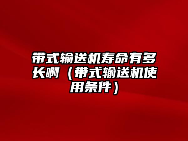 帶式輸送機壽命有多長?。◣捷斔蜋C使用條件）