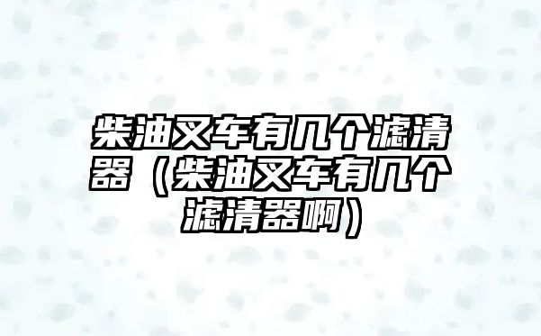 柴油叉車有幾個濾清器（柴油叉車有幾個濾清器啊）