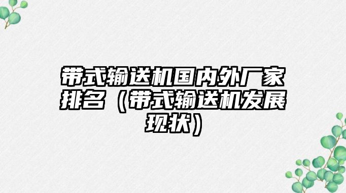 帶式輸送機國內(nèi)外廠家排名（帶式輸送機發(fā)展現(xiàn)狀）