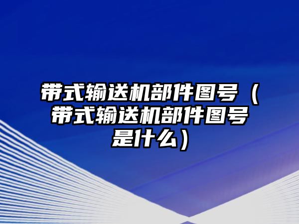 帶式輸送機(jī)部件圖號(hào)（帶式輸送機(jī)部件圖號(hào)是什么）