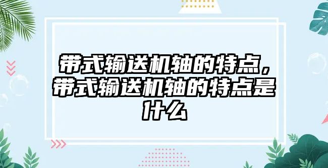 帶式輸送機(jī)軸的特點(diǎn)，帶式輸送機(jī)軸的特點(diǎn)是什么