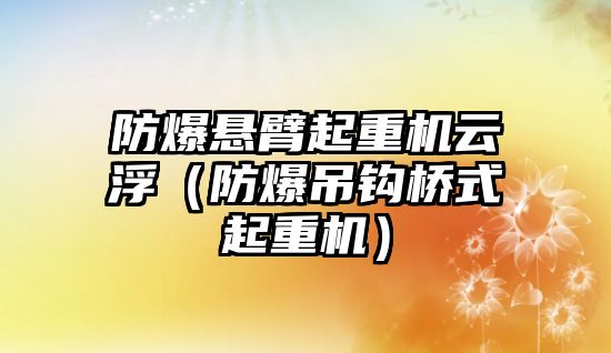 防爆懸臂起重機(jī)云?。ǚ辣蹉^橋式起重機(jī)）