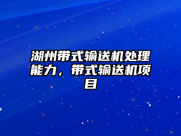 湖州帶式輸送機處理能力，帶式輸送機項目