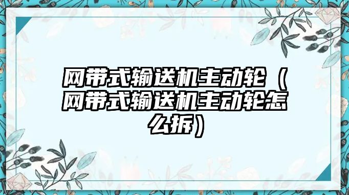 網帶式輸送機主動輪（網帶式輸送機主動輪怎么拆）