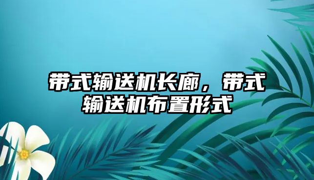 帶式輸送機(jī)長(zhǎng)廊，帶式輸送機(jī)布置形式