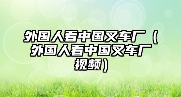 外國(guó)人看中國(guó)叉車廠（外國(guó)人看中國(guó)叉車廠視頻）