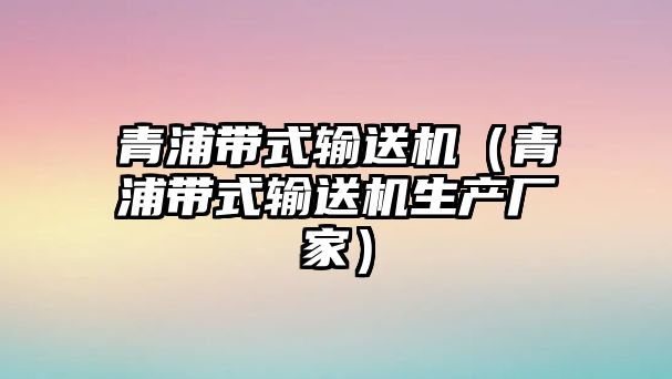 青浦帶式輸送機（青浦帶式輸送機生產(chǎn)廠家）