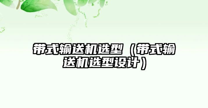 帶式輸送機(jī)選型（帶式輸送機(jī)選型設(shè)計(jì)）