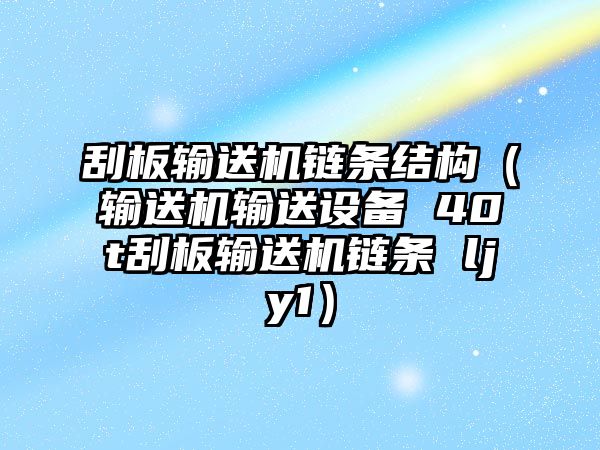 刮板輸送機(jī)鏈條結(jié)構(gòu)（輸送機(jī)輸送設(shè)備 40t刮板輸送機(jī)鏈條 ljy1）