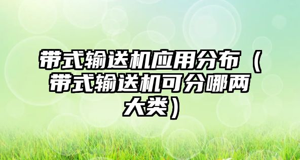 帶式輸送機(jī)應(yīng)用分布（帶式輸送機(jī)可分哪兩大類）