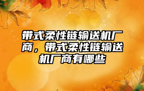 帶式柔性鏈輸送機廠商，帶式柔性鏈輸送機廠商有哪些