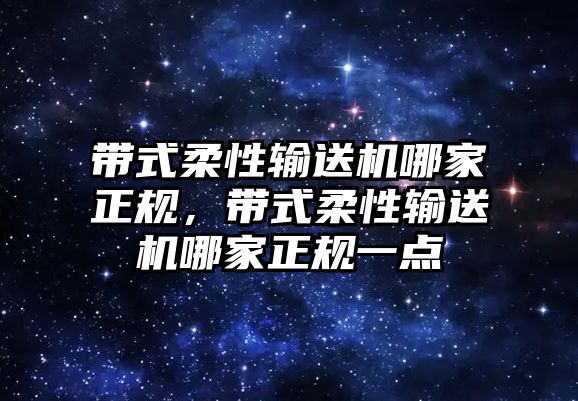 帶式柔性輸送機哪家正規(guī)，帶式柔性輸送機哪家正規(guī)一點