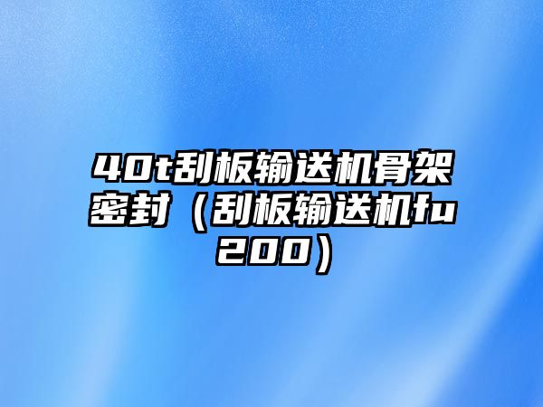 40t刮板輸送機(jī)骨架密封（刮板輸送機(jī)fu200）