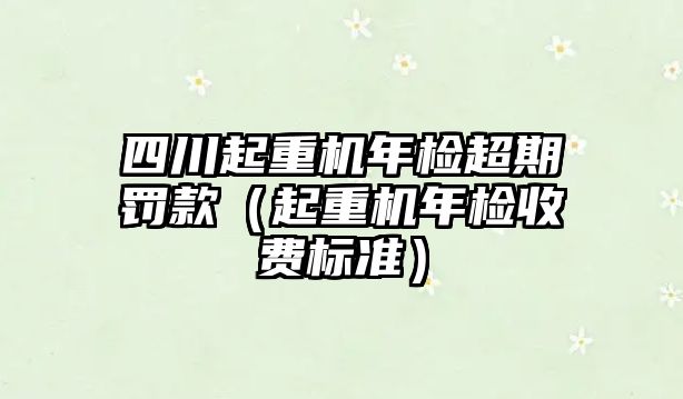 四川起重機(jī)年檢超期罰款（起重機(jī)年檢收費(fèi)標(biāo)準(zhǔn)）