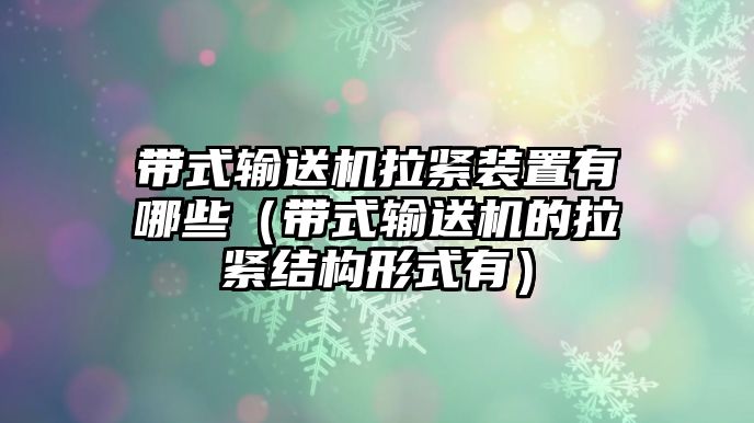 帶式輸送機拉緊裝置有哪些（帶式輸送機的拉緊結構形式有）