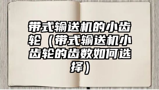 帶式輸送機的小齒輪（帶式輸送機小齒輪的齒數(shù)如何選擇）