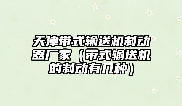 天津帶式輸送機(jī)制動器廠家（帶式輸送機(jī)的制動有幾種）