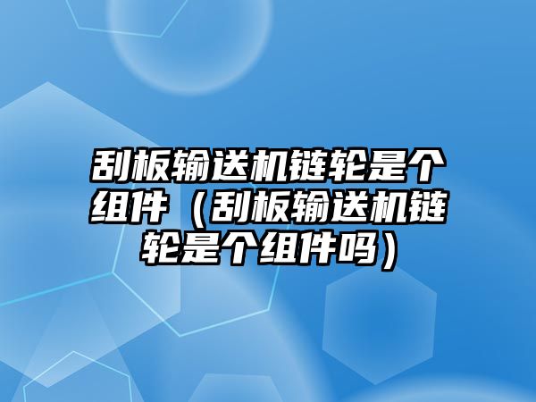 刮板輸送機(jī)鏈輪是個組件（刮板輸送機(jī)鏈輪是個組件嗎）