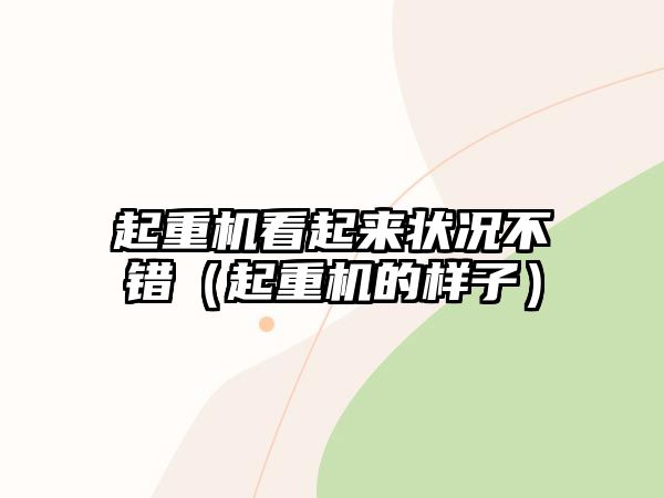 起重機(jī)看起來(lái)狀況不錯(cuò)（起重機(jī)的樣子）