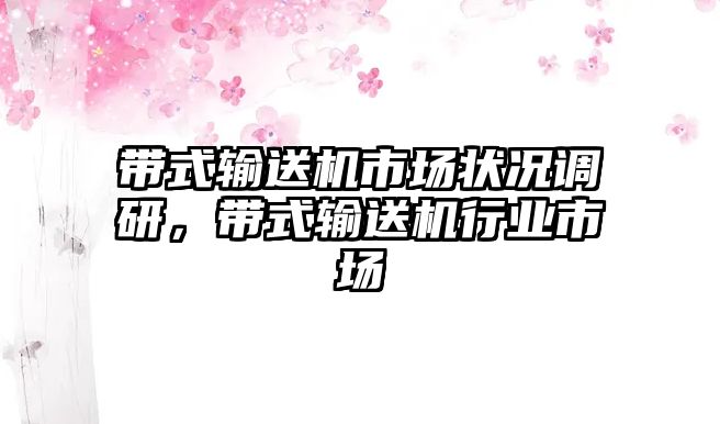 帶式輸送機市場狀況調(diào)研，帶式輸送機行業(yè)市場