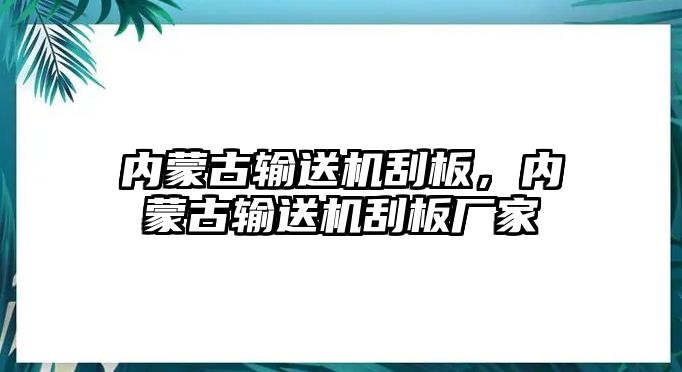 內(nèi)蒙古輸送機(jī)刮板，內(nèi)蒙古輸送機(jī)刮板廠家