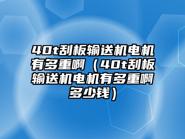 40t刮板輸送機(jī)電機(jī)有多重?。?0t刮板輸送機(jī)電機(jī)有多重啊多少錢）