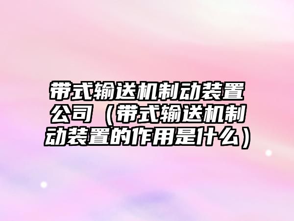 帶式輸送機(jī)制動(dòng)裝置公司（帶式輸送機(jī)制動(dòng)裝置的作用是什么）