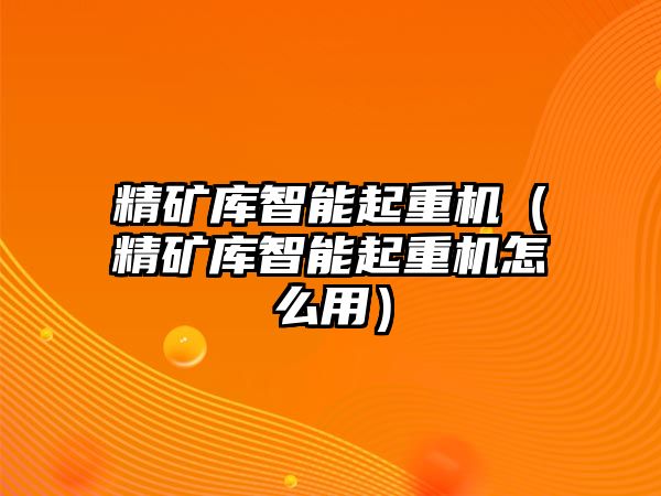 精礦庫智能起重機(jī)（精礦庫智能起重機(jī)怎么用）