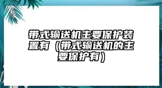 帶式輸送機主要保護裝置有（帶式輸送機的主要保護有）