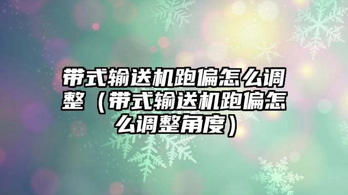 帶式輸送機跑偏怎么調(diào)整（帶式輸送機跑偏怎么調(diào)整角度）