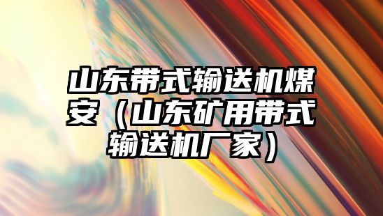 山東帶式輸送機煤安（山東礦用帶式輸送機廠家）