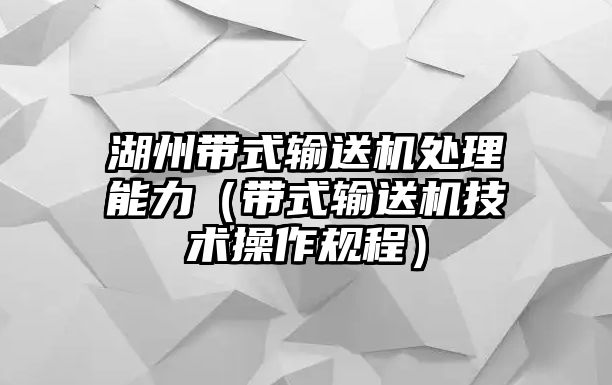 湖州帶式輸送機處理能力（帶式輸送機技術(shù)操作規(guī)程）